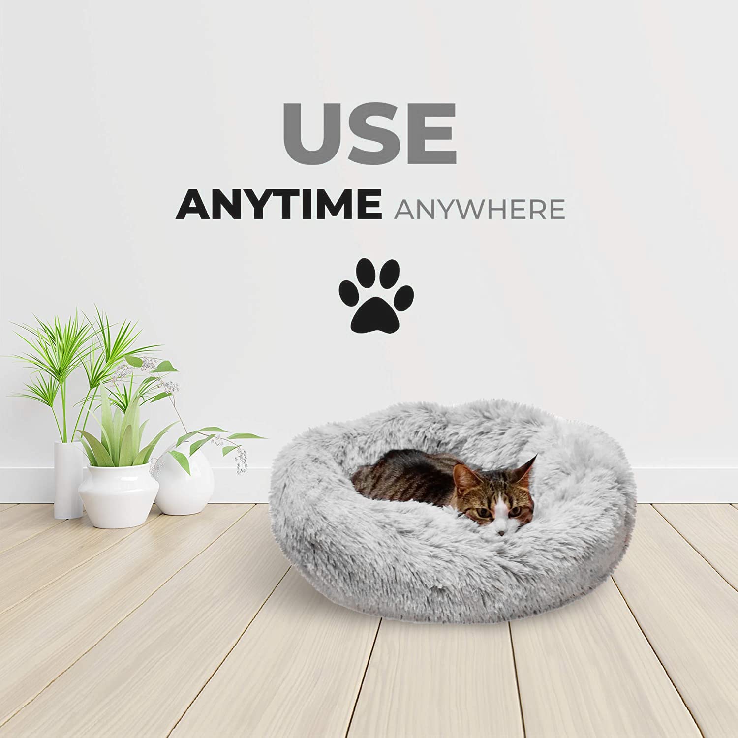 Whiskers & Friends chambre cosy avec lit pour chats et chiens.