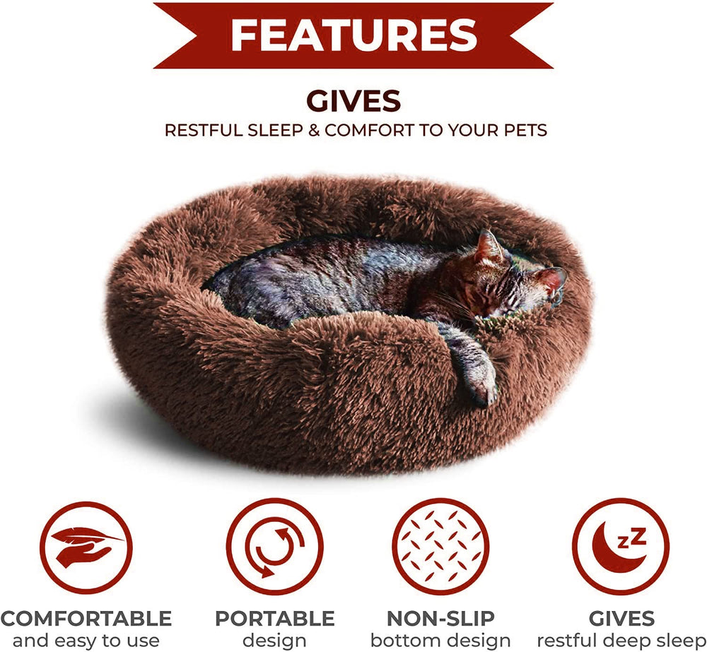 Whiskers & Friends donut thermiquement autonome pour chaleur naturelle