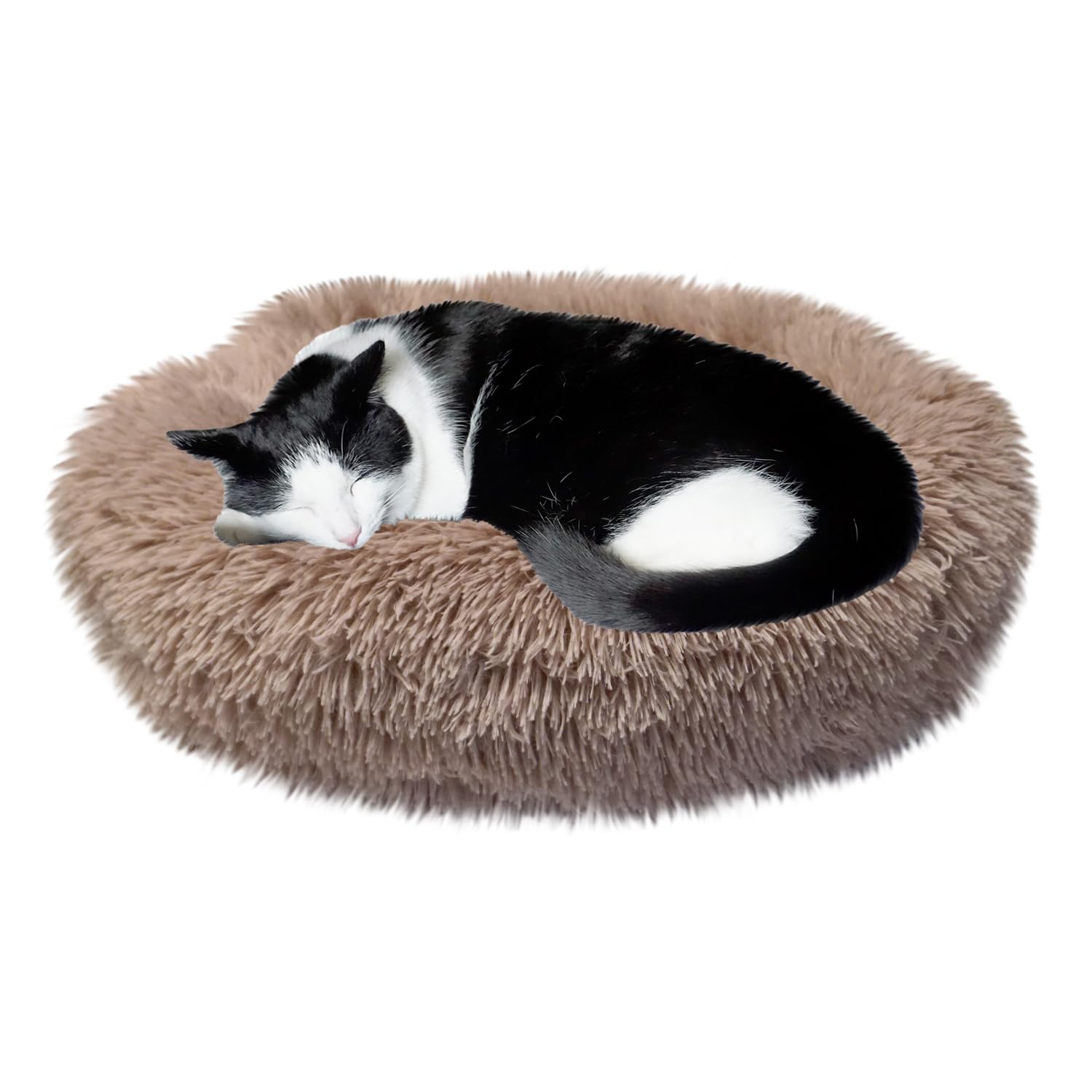 Whiskers & Friends lit chat forme ronde, confort enveloppant et chaleur rassurante.