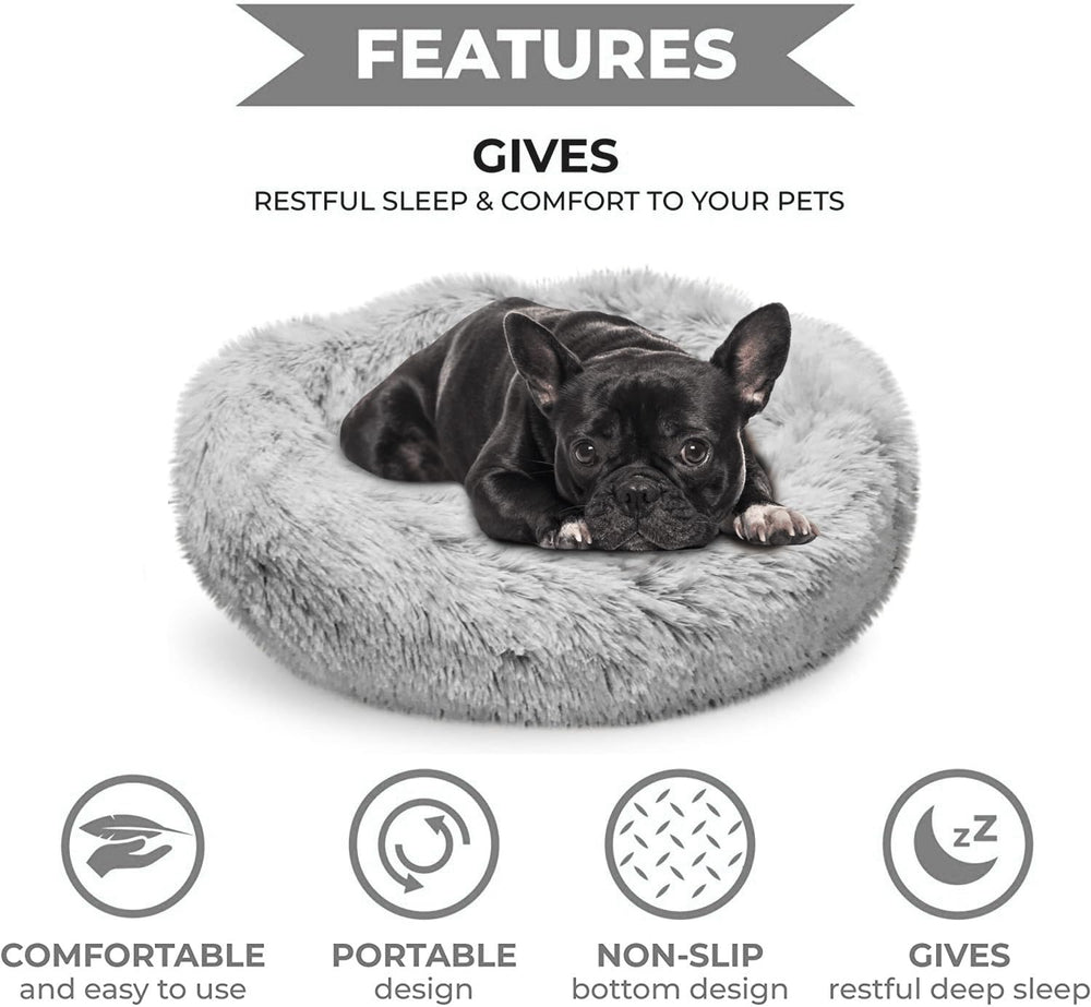 Lit pour petit chien Whiskers & Friends, rebords surélevés pour soutien tête et cou