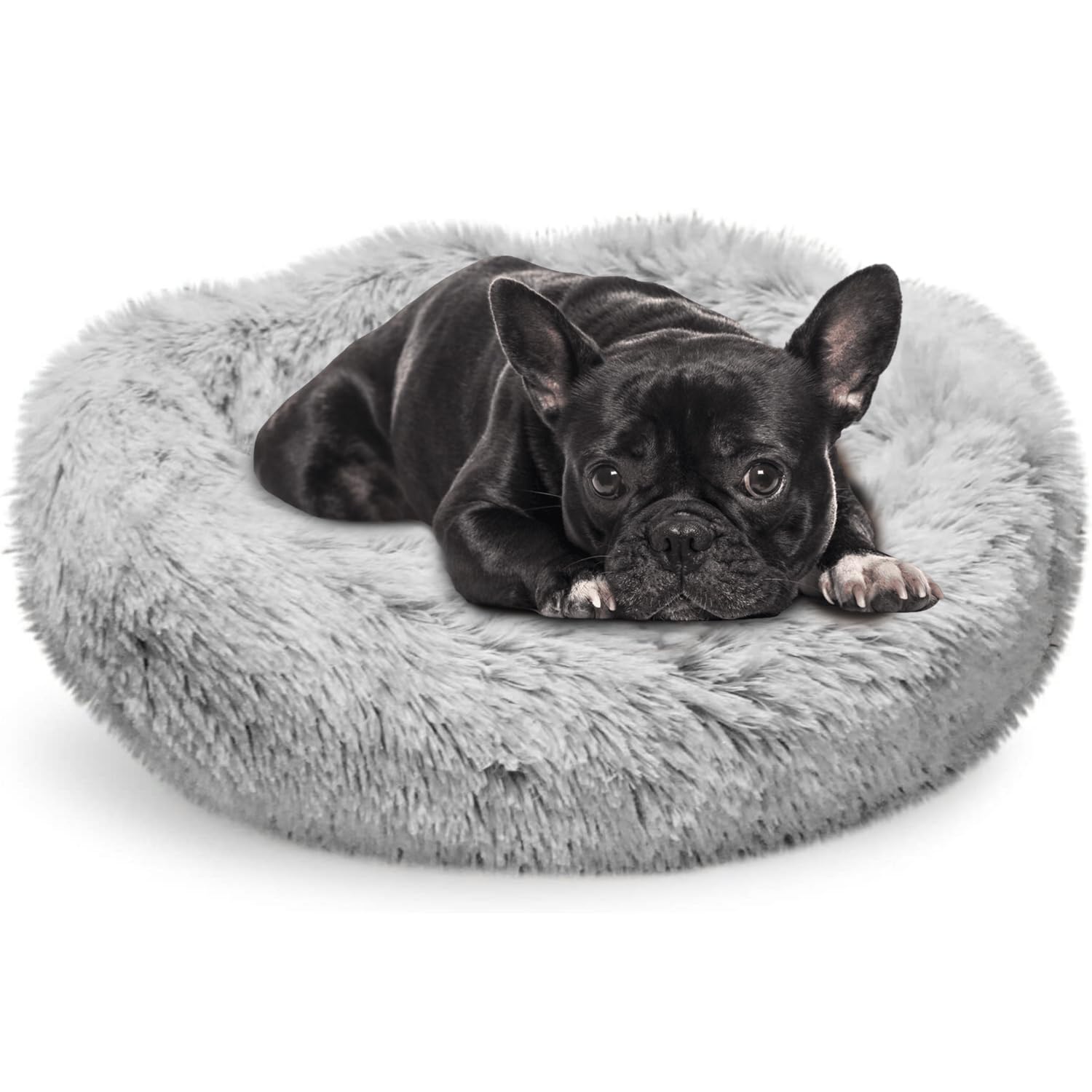 Lit rond orthopédique Whiskers & Friends pour chats offrant soutien du cou et confort