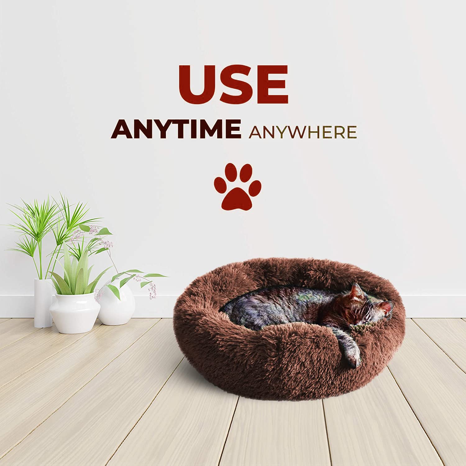 Whiskers & Friends utilisation quotidienne pour le confort