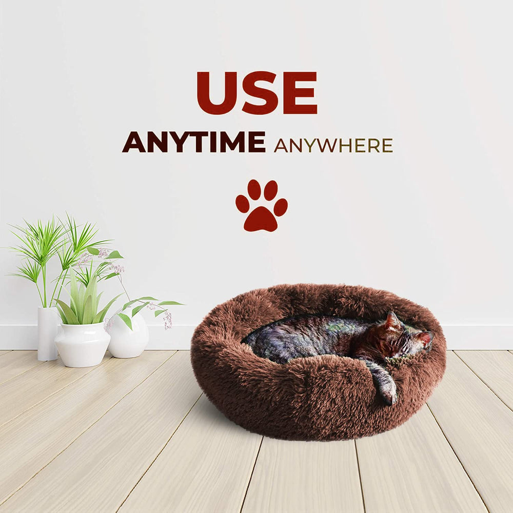 Whiskers & Friends utilisation quotidienne pour le confort
