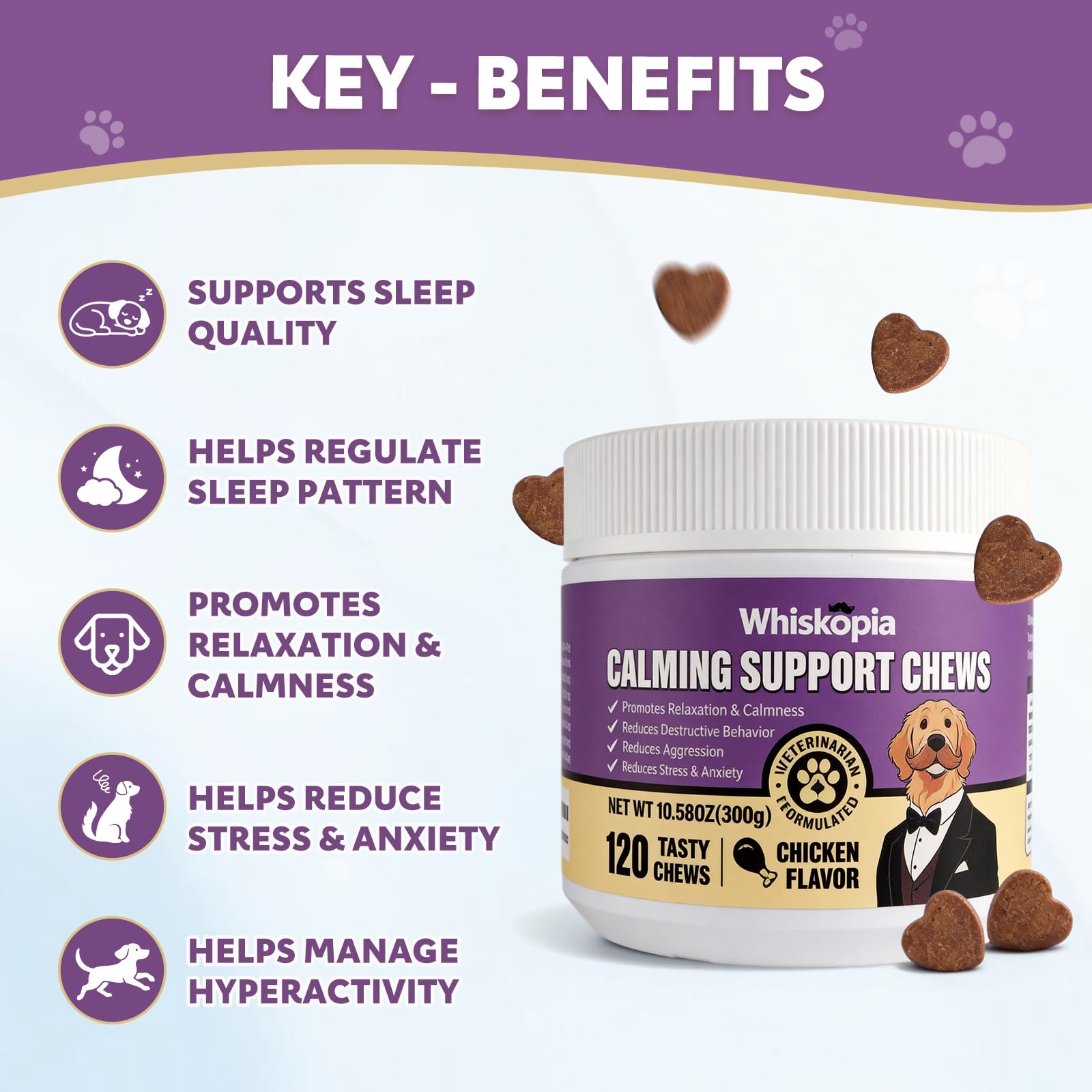 Whiskopia Assiette Chien Relaxe: bouchées apaisantes pour un moment de calme.