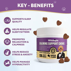 Whiskopia Assiette Chien Relaxe: bouchées apaisantes pour un moment de calme.