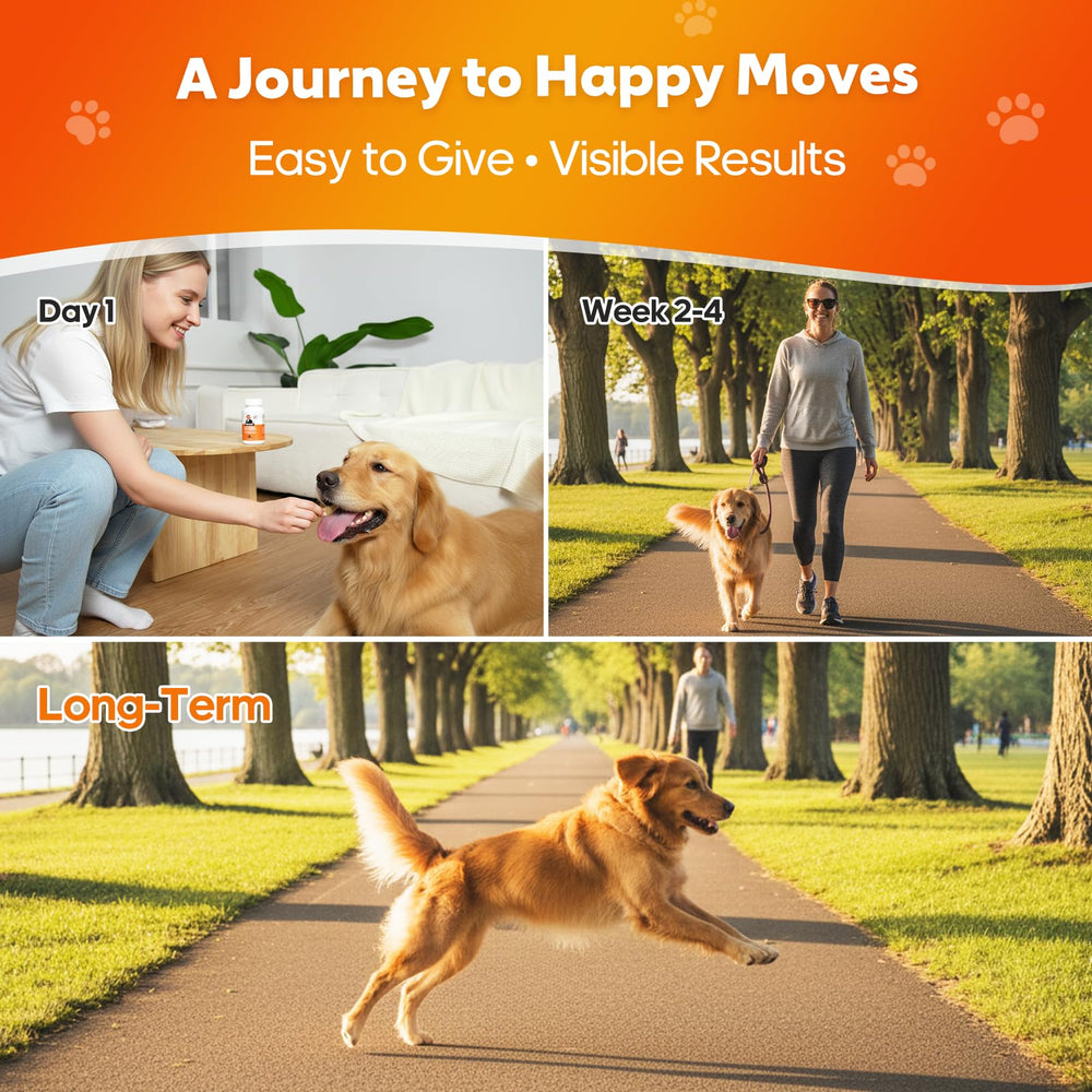 Whiskopia chien-en-mouvement articulations-flexibles : mobilité améliorée lors des activités.