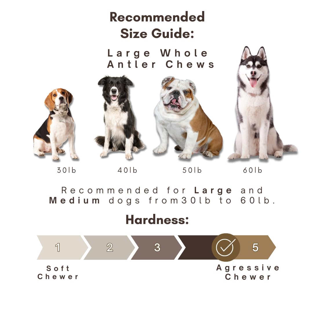 WhiteTail Naturals bois taillés et arrondis, sécurité lors de la mastication.