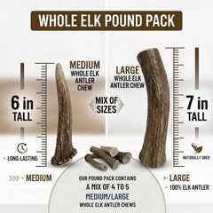 WhiteTail Naturals corne d’élan naturelle pour le mâchage.
