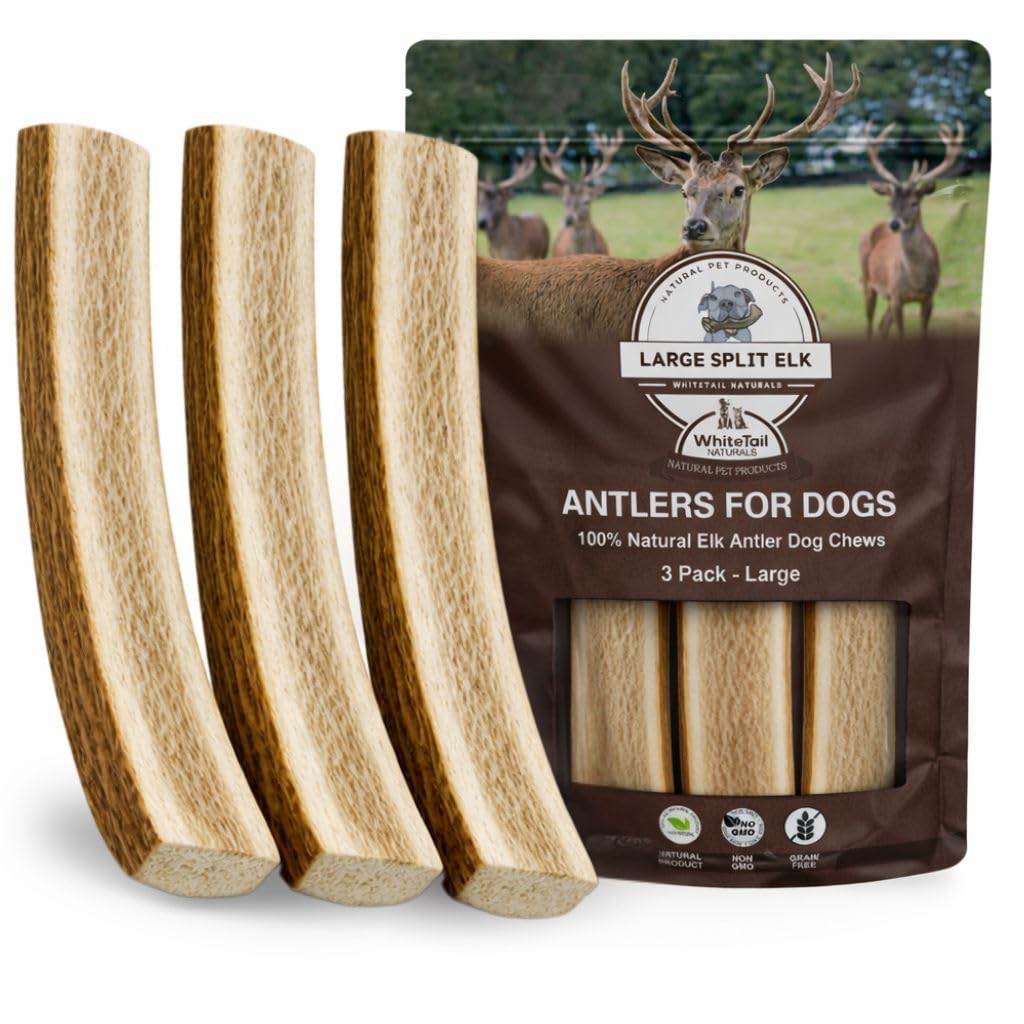 Whitetail Naturals - Corne d'elan tranchee grand gros plan, texture naturelle pour mastication intense.