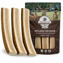 Whitetail Naturals - Corne d'elan tranchee grand gros plan, texture naturelle pour mastication intense.