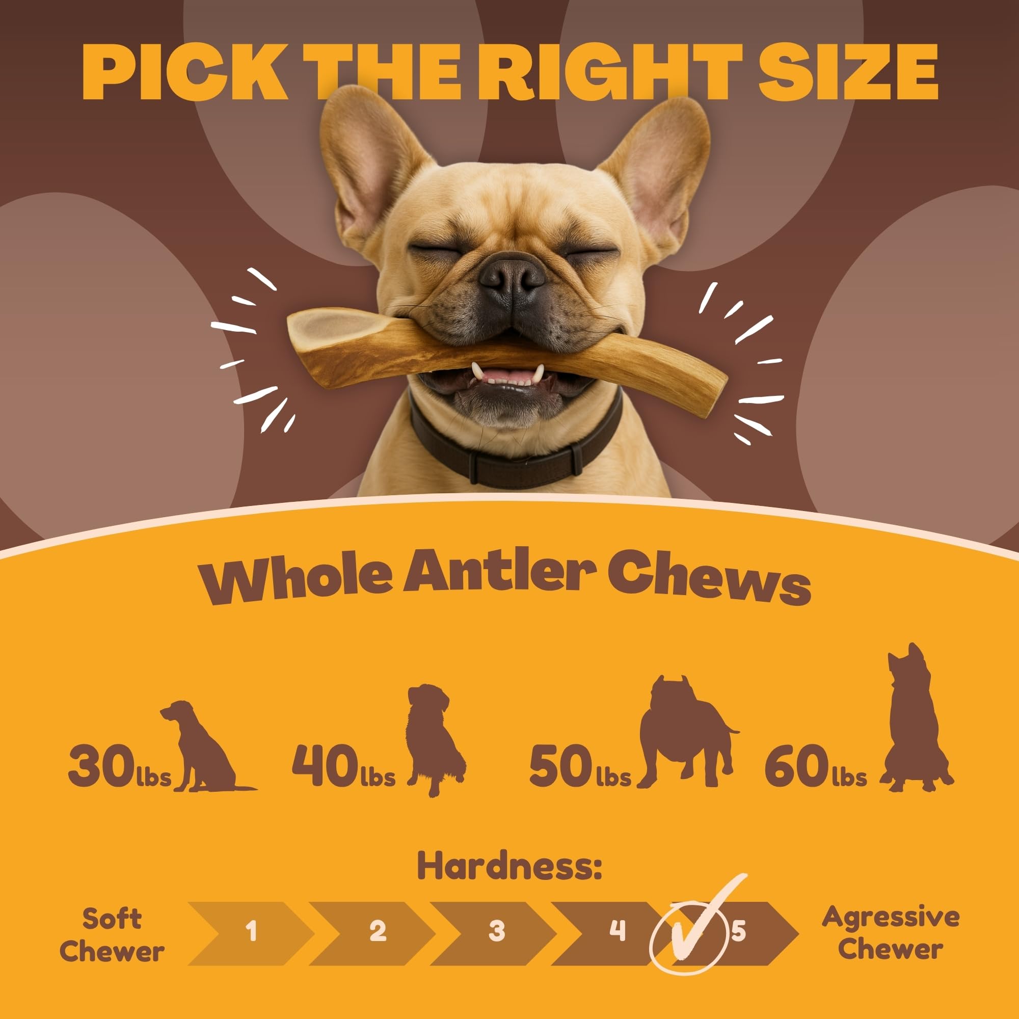 WhiteTail Naturals corne de cerf grande taille pour chien.