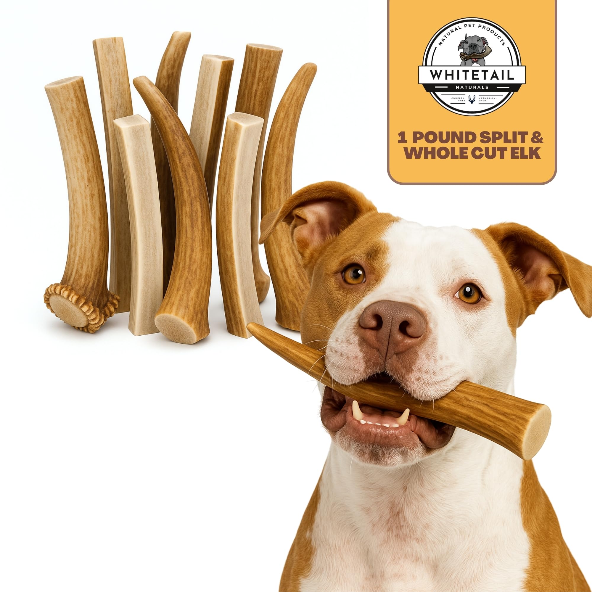 WhiteTail Naturals cornes de cerf, idée cadeau idéal pour l’anniversaire d’un chien.