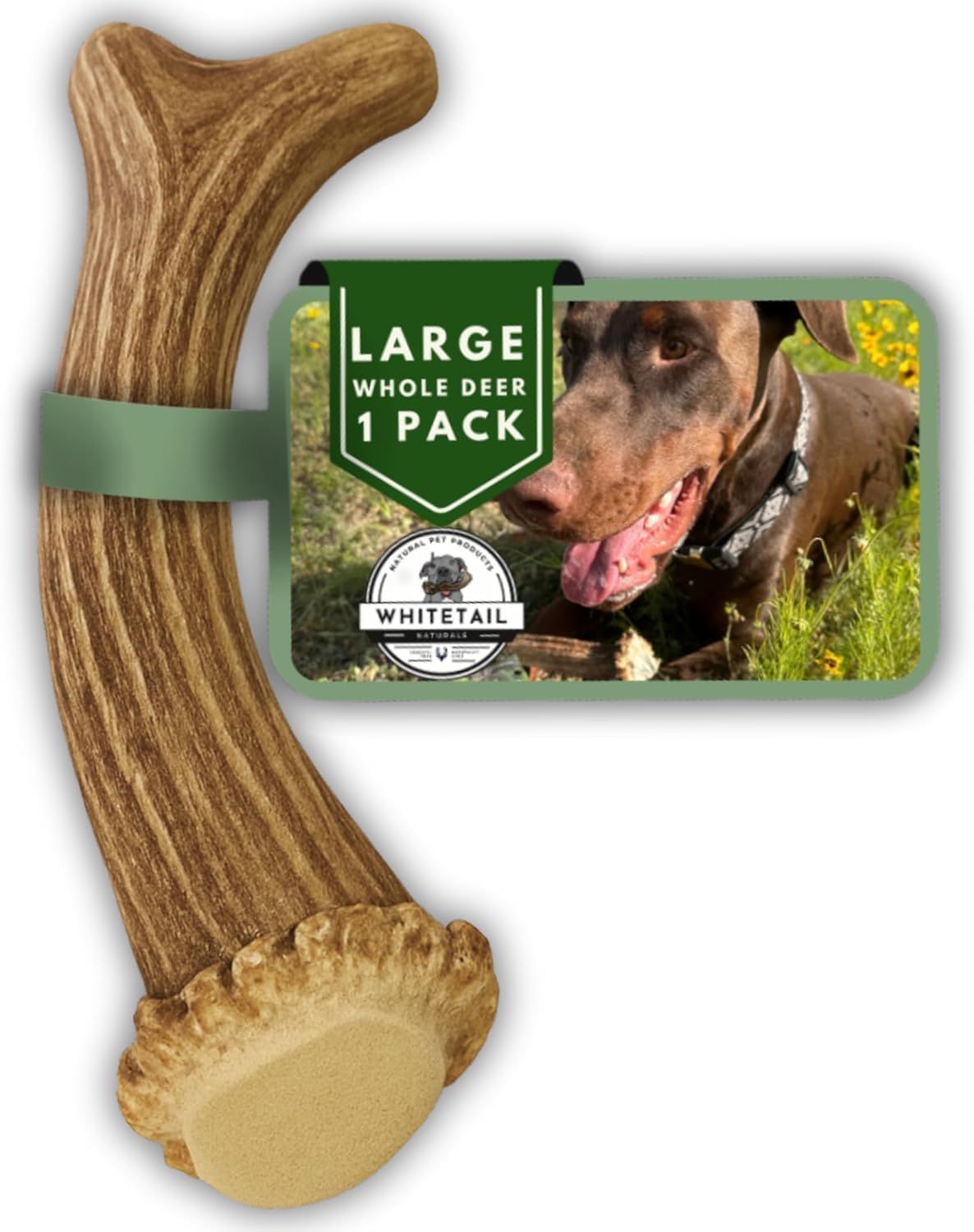 Cornes de cerf larges WhiteTail Naturals, mastic durable pour chiens agressifs.