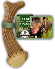Cornes de cerf larges WhiteTail Naturals, mastic durable pour chiens agressifs.