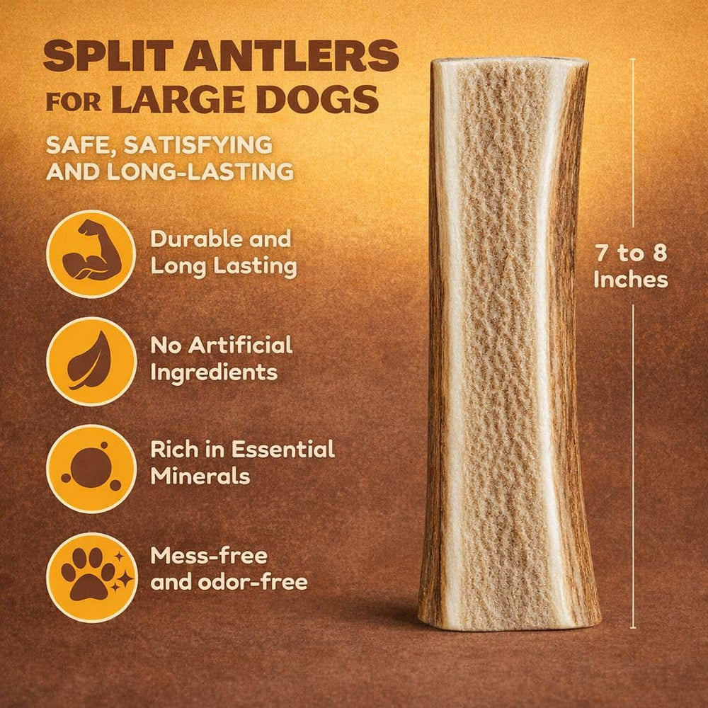WhiteTail Naturals corn es elan fendues, longueur 6-7 pouces, supporte la mastication forte