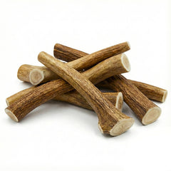 WhiteTail Naturals gros morceau de corne d’élan pour mâchage actif.