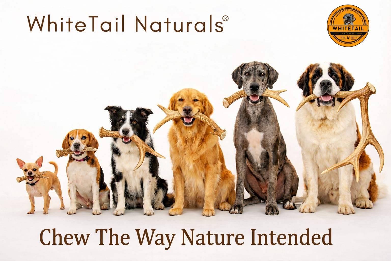 WhiteTail Naturals mastication durable pour chiens exigeants.