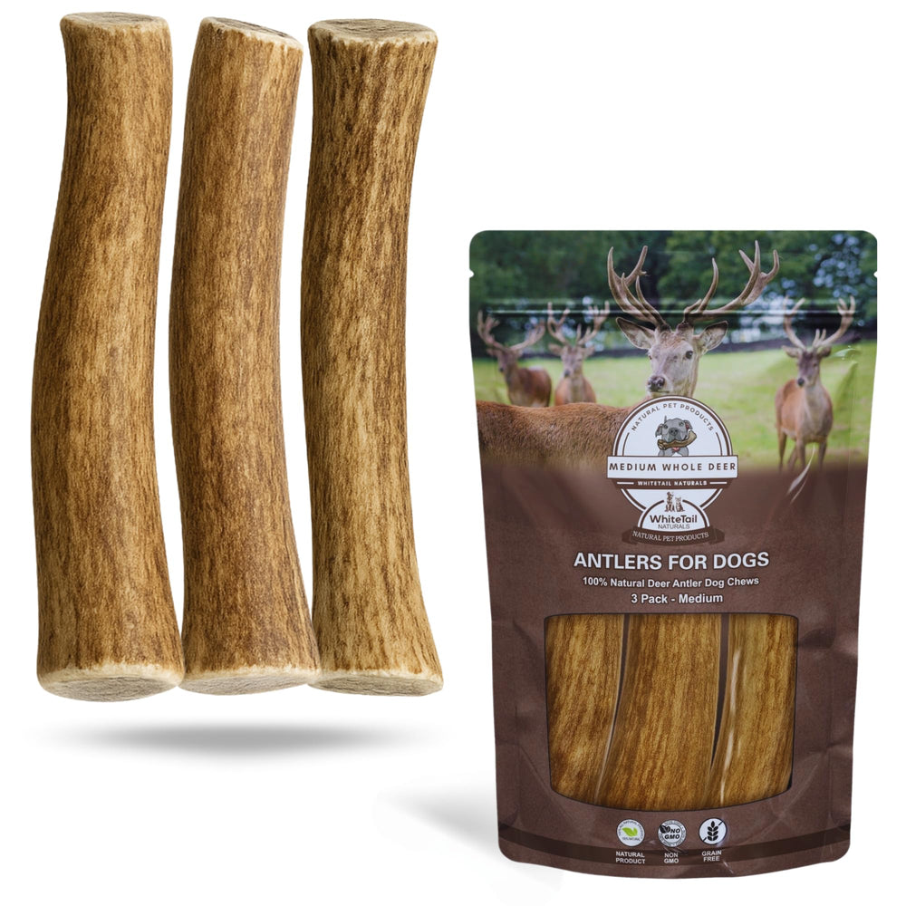 WhiteTail Naturals os de cerf pour chien, pack moyen, morsure durable.