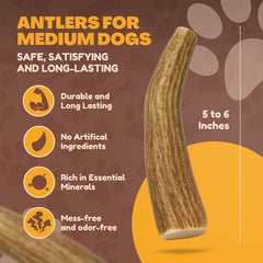 WhiteTail Naturals os de cerf pour chien, pack moyen, matériau naturel.