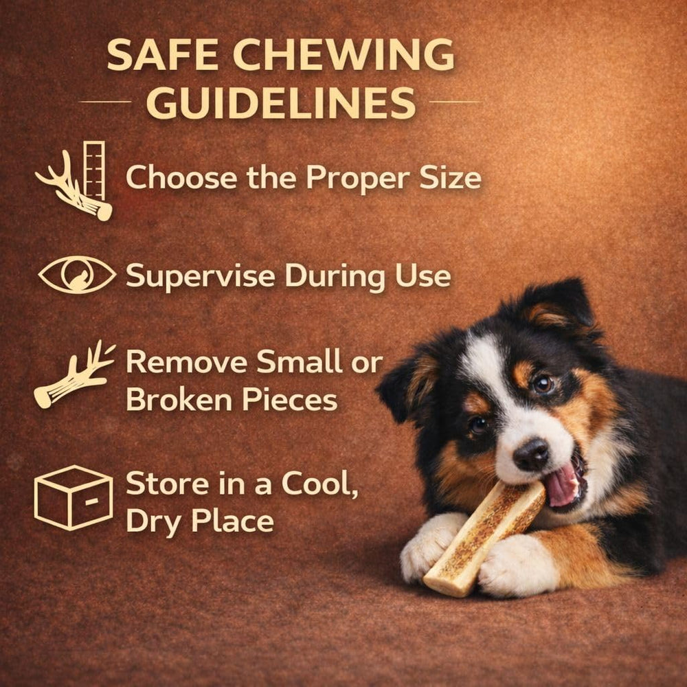 WhiteTail Naturals os-elan-fendu-pour-chien, produit naturel pour une mastication responsable.