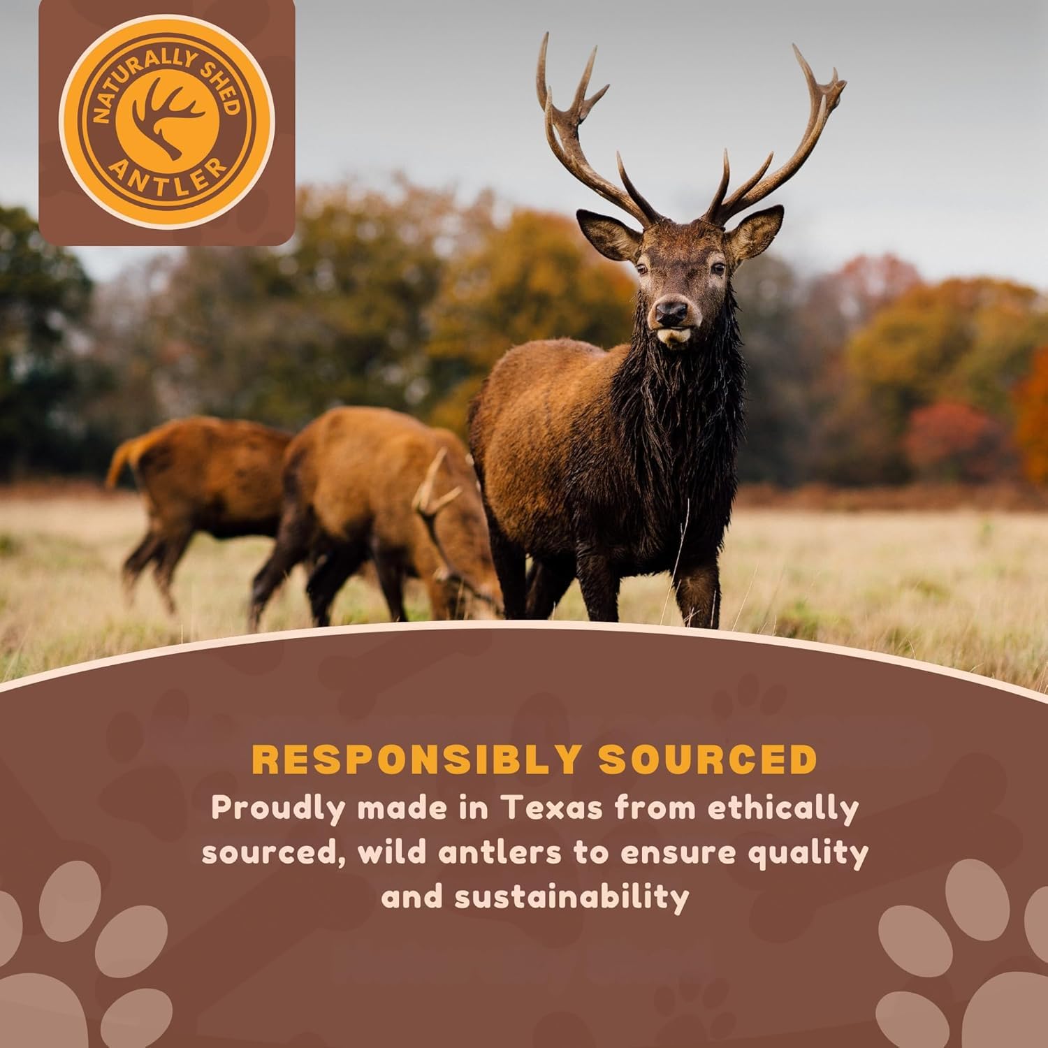 Whitetail Naturals pour chiens de taille moyenne et grande, option de mastication fiable.