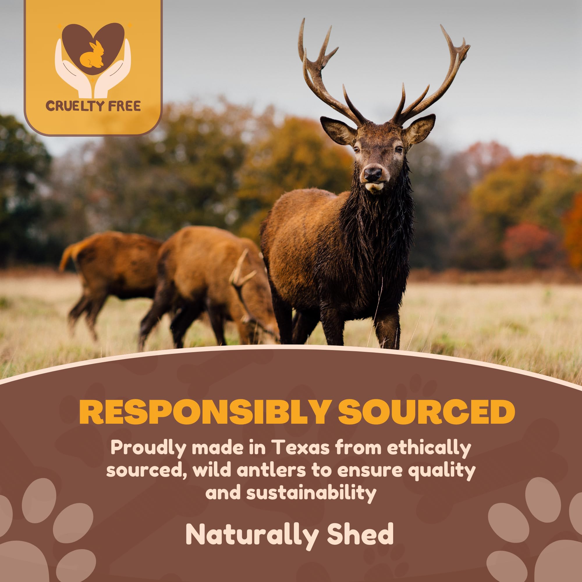WhiteTail Naturals ramure de cerf durable, parfaite pour chiens agressifs qui aiment mâcher