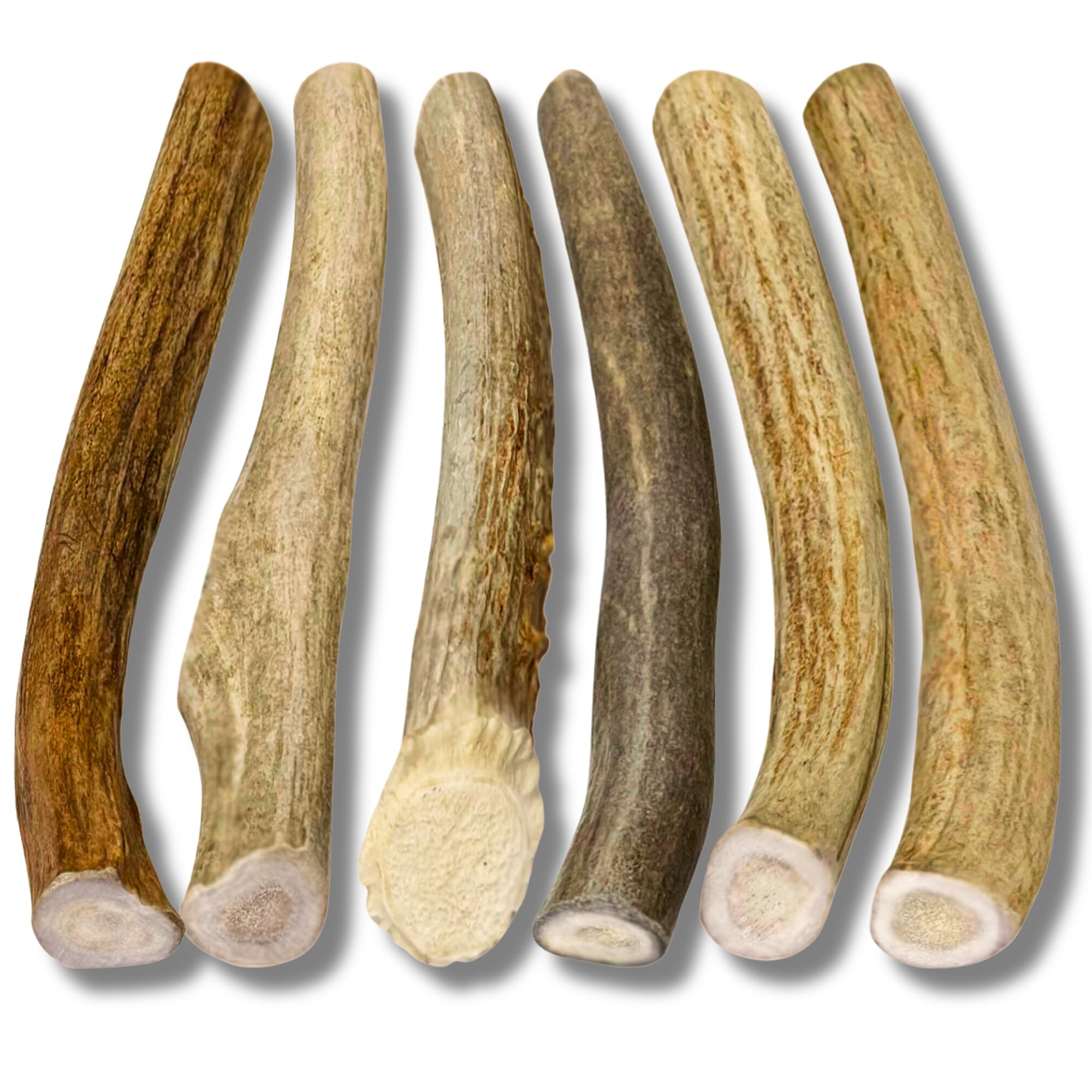 Ramures de cerf WhiteTail Naturals, pièces entières et coupe à la main.
