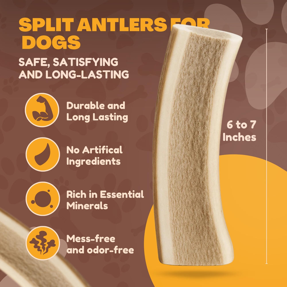 Ramures d elan sans odeur, idéale pour usage intérieur avec Whitetail Naturals