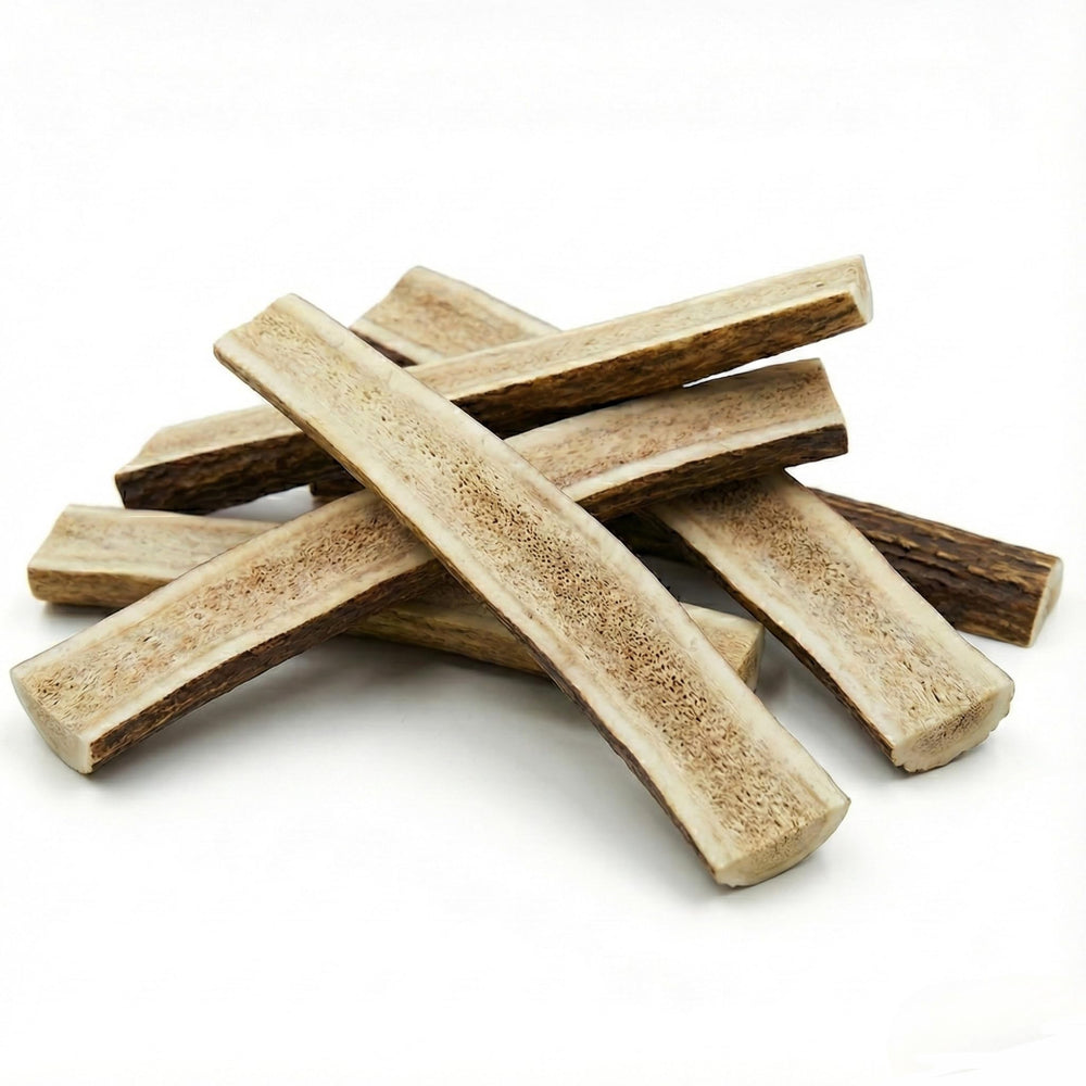 Ramures d elan fendues tranchees utilisées pour la mastication durable