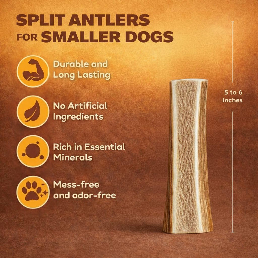 WhiteTail Naturals os-elan-fendu-pour-chien, alternative propre et durable au mastiquage.
