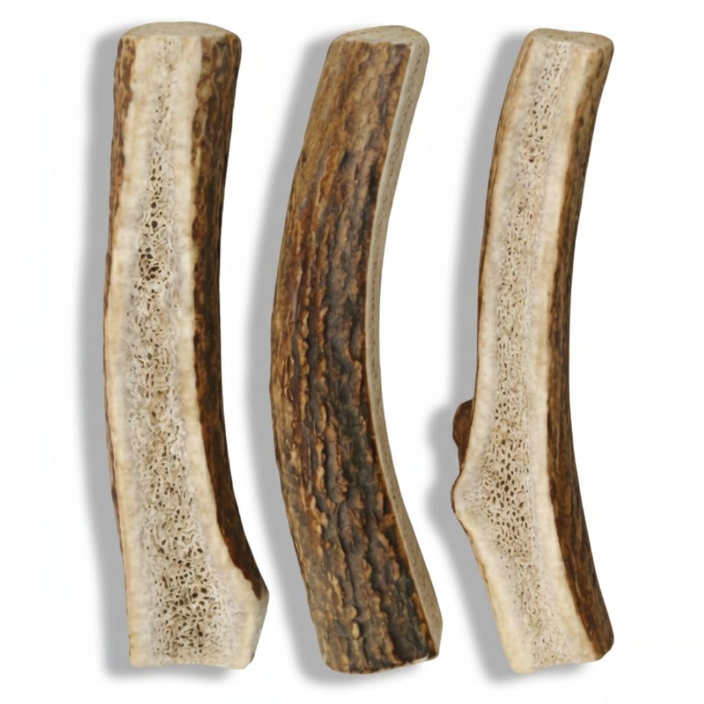 WhiteTail Naturals ramures fendues pour petit chien, option sûre et savoureuse.