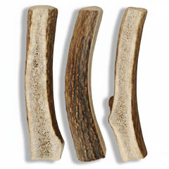 WhiteTail Naturals ramures fendues pour petit chien, option sûre et savoureuse.