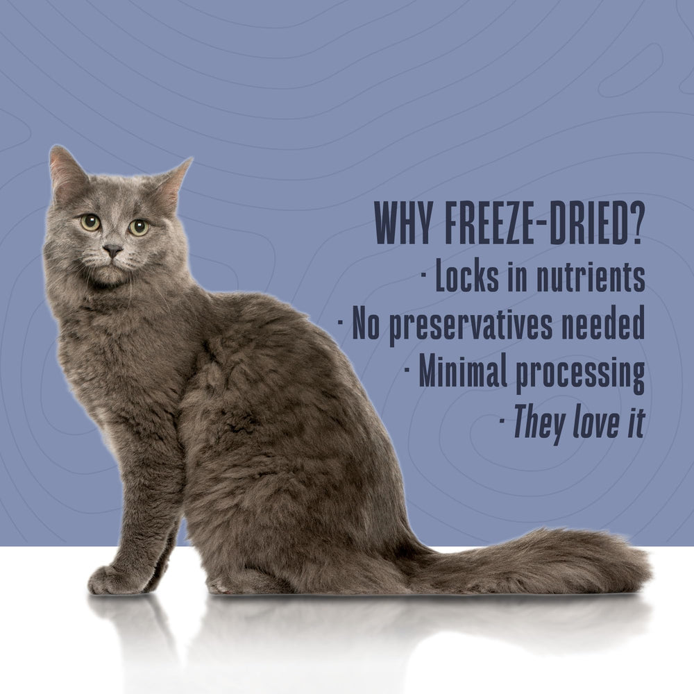 Whole Life Cat Living Treats sans additifs artificiels
