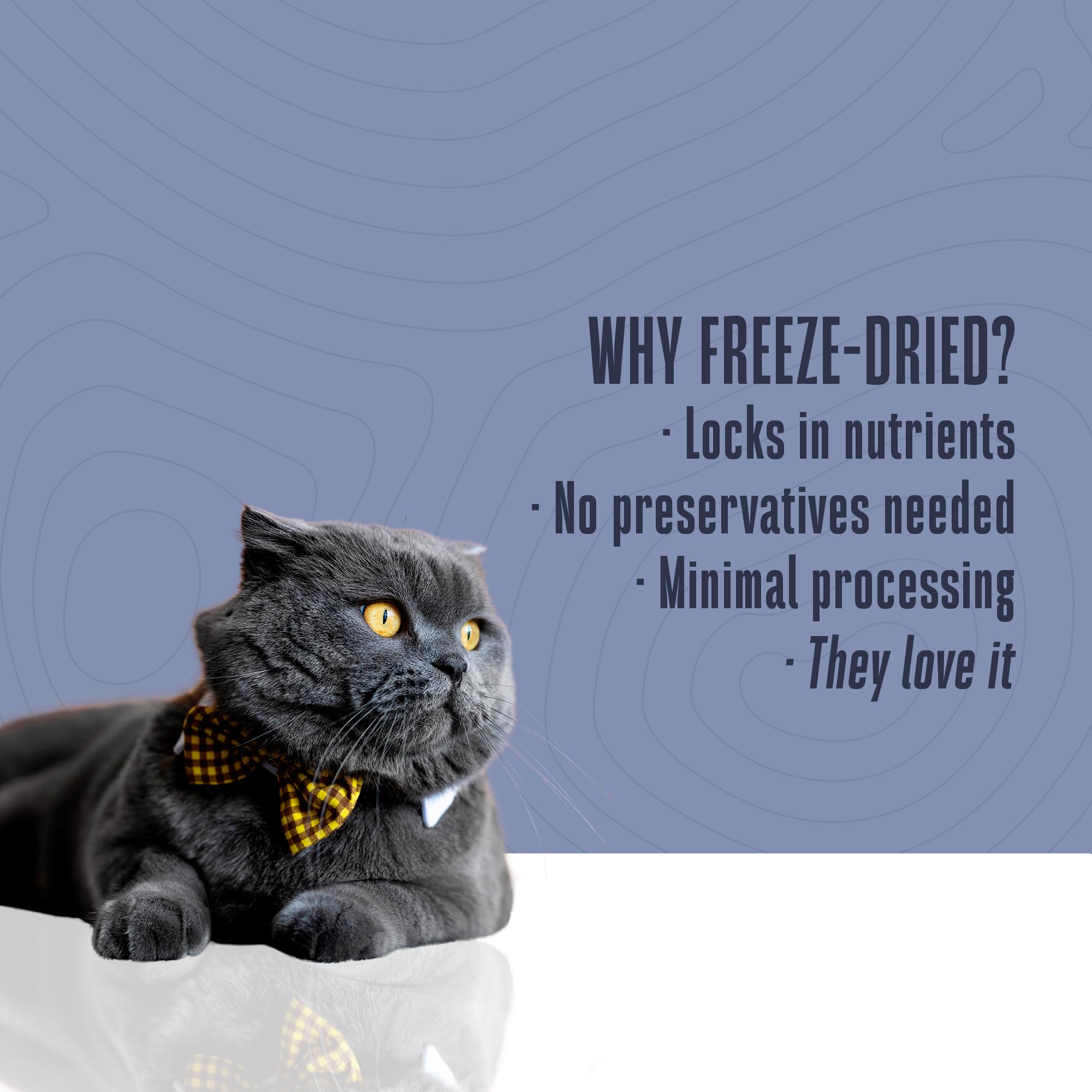 Friandise sans additifs Whole Life Cat Just One Salmon, choix naturel et sûr.
