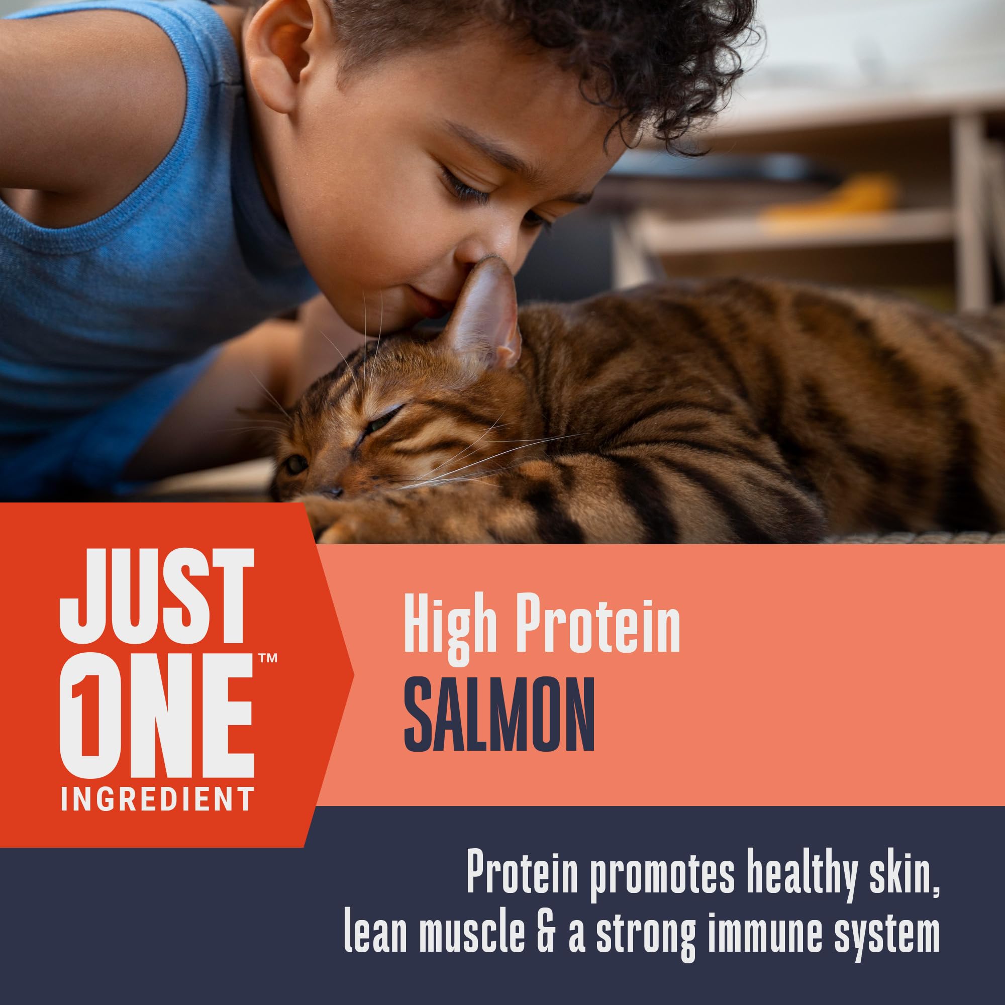 Topper de repas Whole Life Cat Just One Salmon lyophilisé pour enrichir l’alimentation.