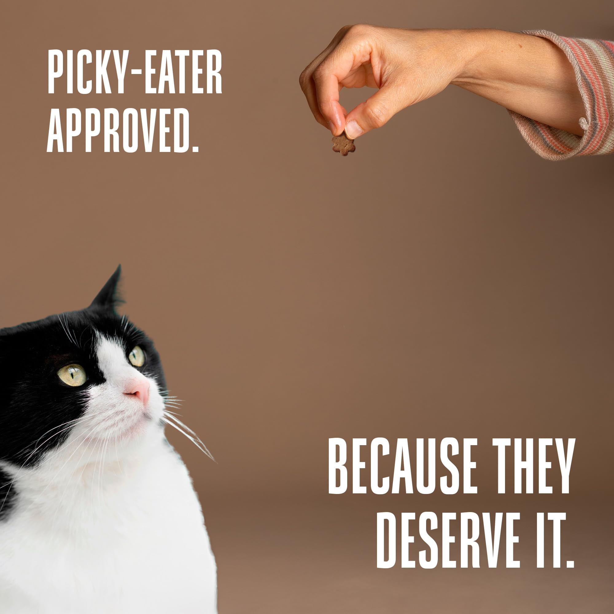 Whole Life Cat Living Treats portion pratique de 42 g