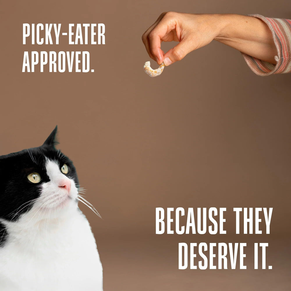 Marque Whole Life Pet: etiquette fabrication etats-unis