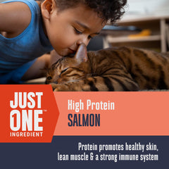 Saumon lyophilisé pour estomacs sensibles.