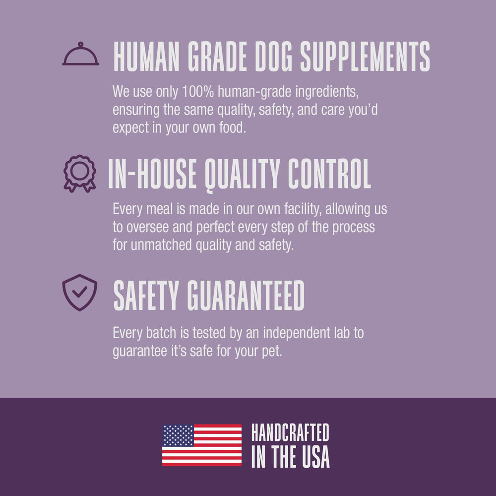 Whole Life Dog Bland Diet transition en douceur vers le régime habituel