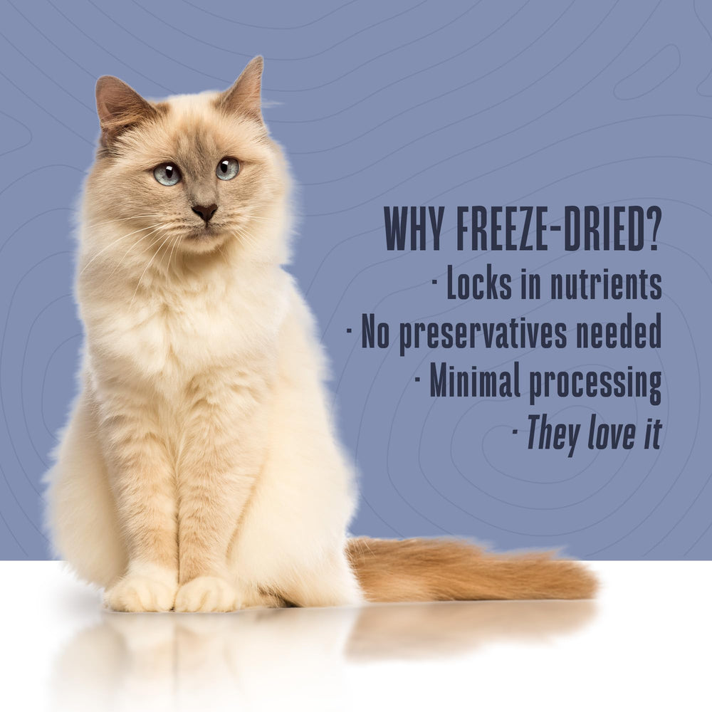 Utilisation en intérieur: friandises digestives pour chats d’intérieur