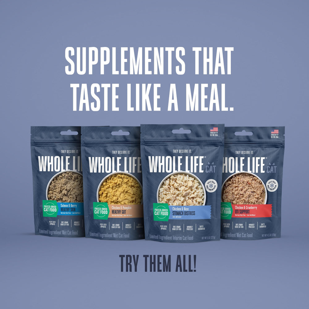 Whole Life Cat: transition douce vers l’alimentation habituelle.
