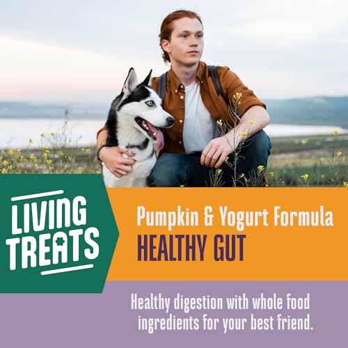 Probiotiques vivants inclus pour soutenir la digestion canine.