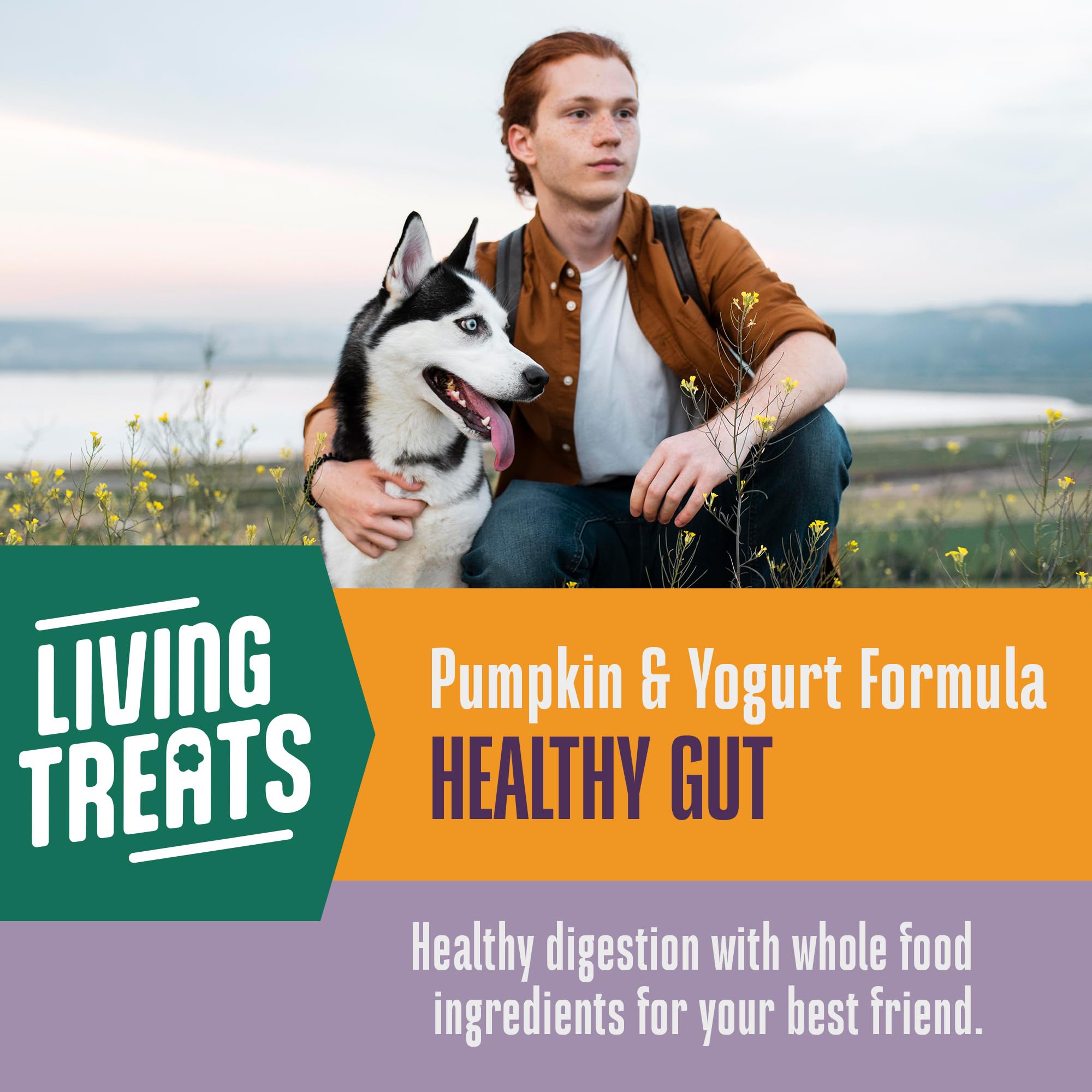 Yaourt grec et cultures vivantes Whole Life Pet, pour digestion équilibrée