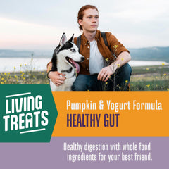 Yaourt grec et cultures vivantes Whole Life Pet, pour digestion équilibrée