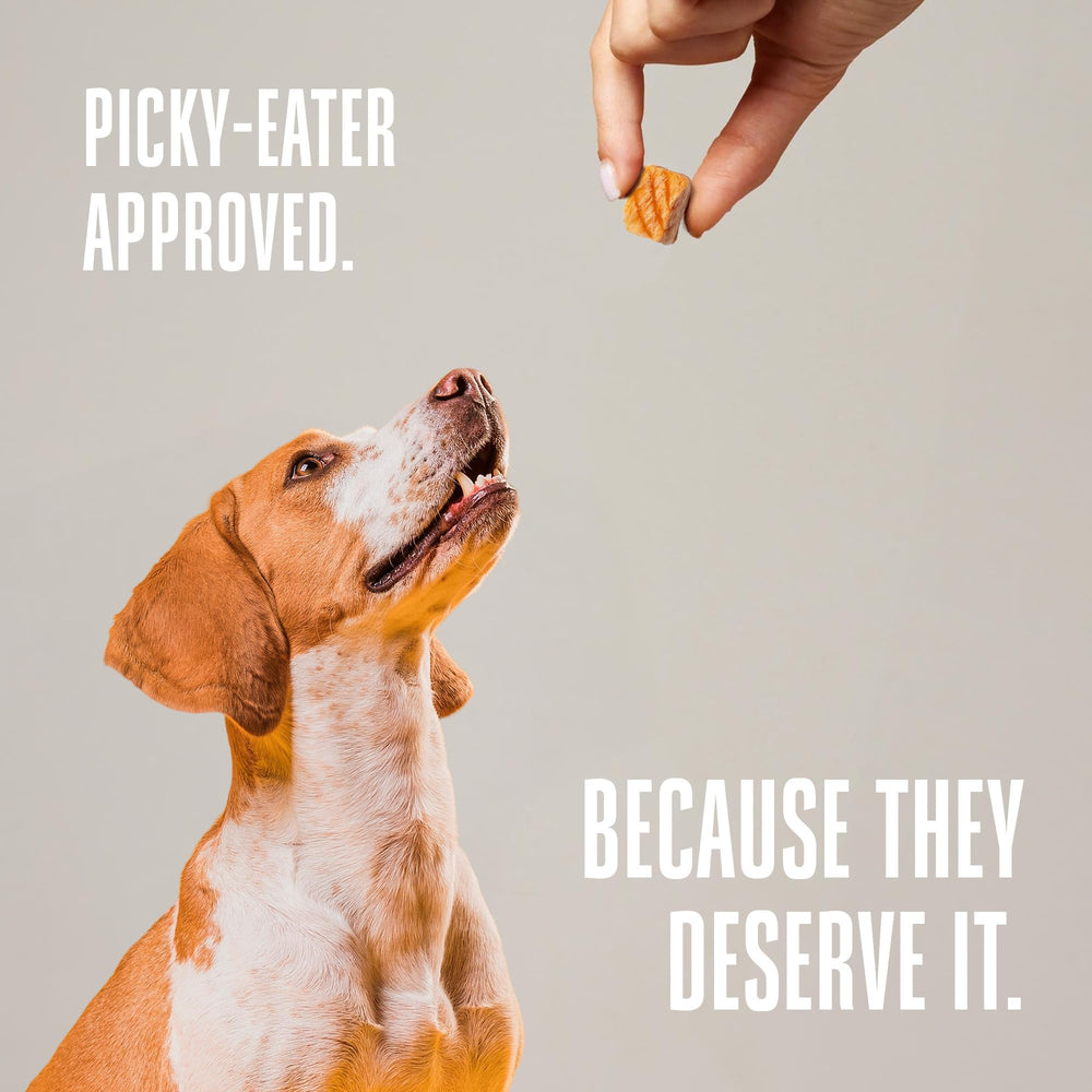 Contrôles qualité et tests indépendants, assurance qualité Whole Life Pet Products.