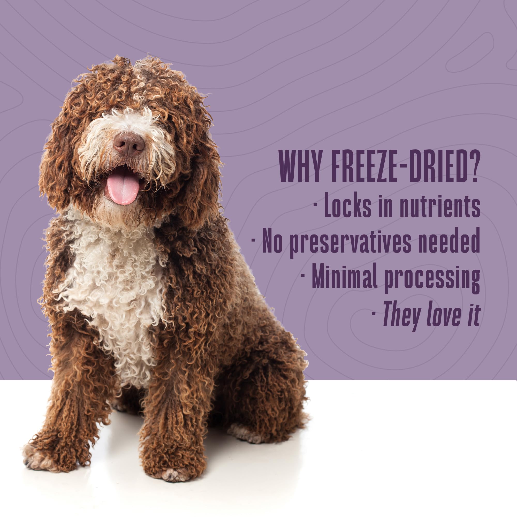 Protéine pure Just One, sans additifs, pour compléter les repas.