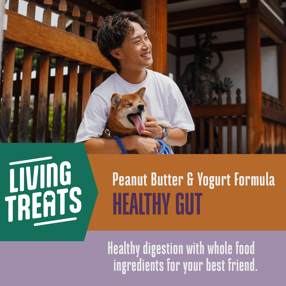 Friandises probiotiques pour chien Whole Life Pet, appétentes et faciles à donner