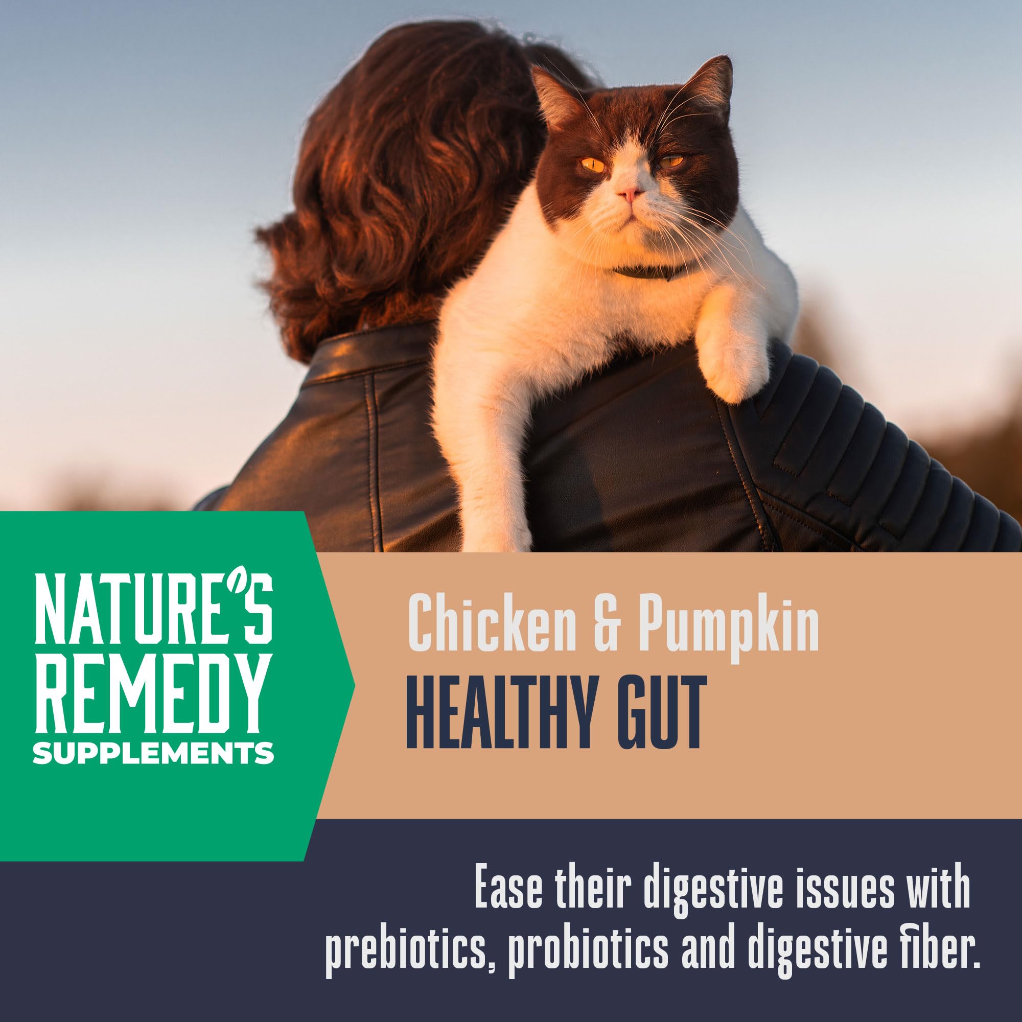 Whole Life Pet-supplement-chat-citrouille-fibres: fibres naturelles favorisant une formation fécale régulière.