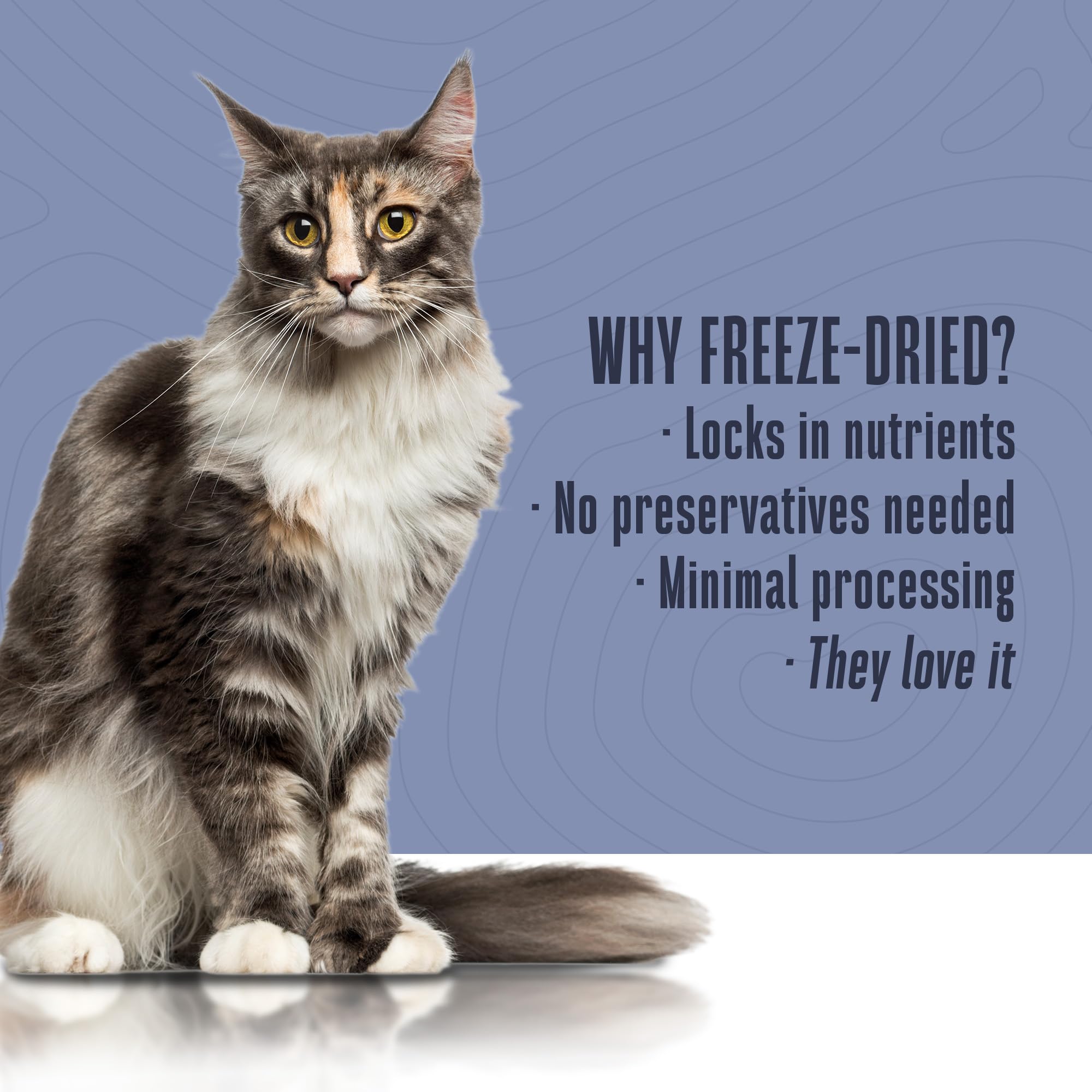 Whole Life Pet-supplement-chat-usage-rapide: usage facile à intégrer dans le quotidien.