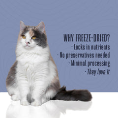 Friandise chat sans allergènes, thon unique, option adaptée aux besoins sensibles.